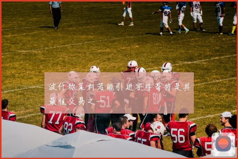 波什称莱利若能引进字母哥将是其最佳交易之一